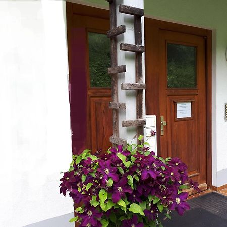 Ferienapartment 38 Sonnenwald Oberlangfurth Eksteriør billede