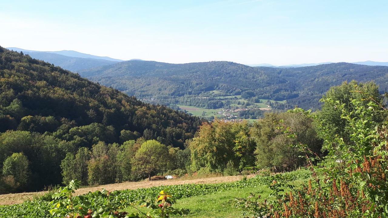 Ferienapartment 38 Sonnenwald Oberlangfurth Eksteriør billede